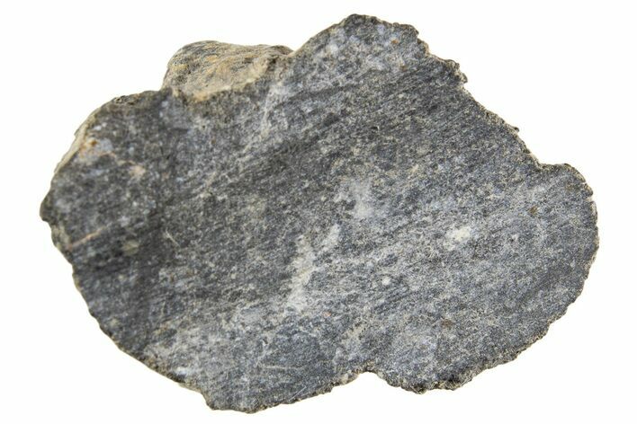 Polished Lunar Meteorite ( g) End Cut Slice - NWA #333179